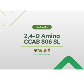 2,4-D AMINA CCAB 806 SL 5KG