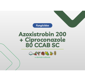 AZOXISTROBIN 200 CIPROCONAZOLE 80 CCAB SC 20L