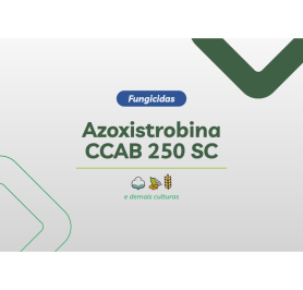 AZOXISTROBINA CCAB 250 SC 4 X 5L