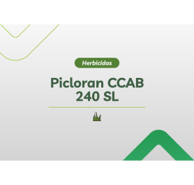 PICLORAM CCAB 240 SL 20L