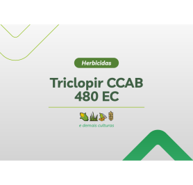 TRICLOPIR CCAB 480 EC 4 X 5L
