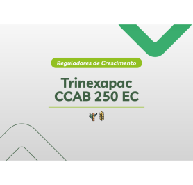 TRINEXAPAC CCAB 250 EC 1x20L IMP