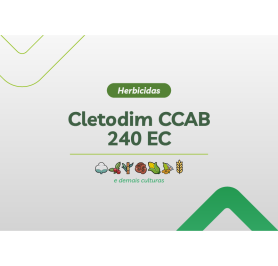 CLETODIM CCAB 240 EC 4 X 5L