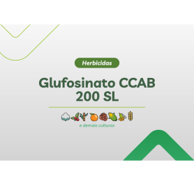 GLUFOSINATO CCAB 200 SL 20L