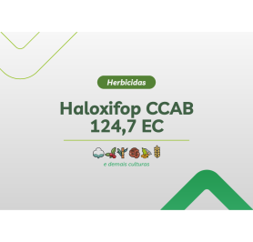 HALOXIFOP CCAB 124,7 EC 20L